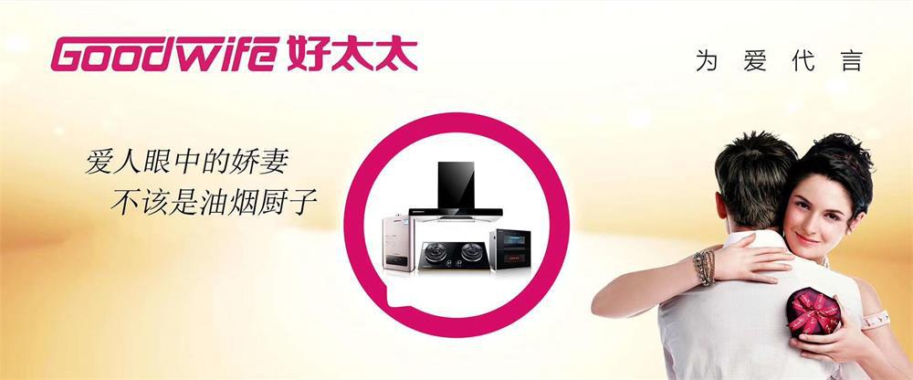 買正宗好太太廚電，請認準央視展播品牌--Goodwife好太太